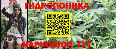 амф Ярцево
