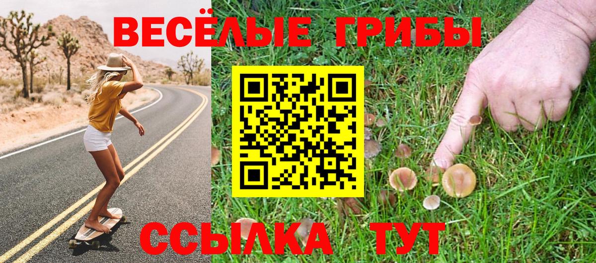 Псилоцибиновые грибы Psilocybine cubensis  Псилоцибиновые грибы Cubensis  Избербаш  Вход с VPN 