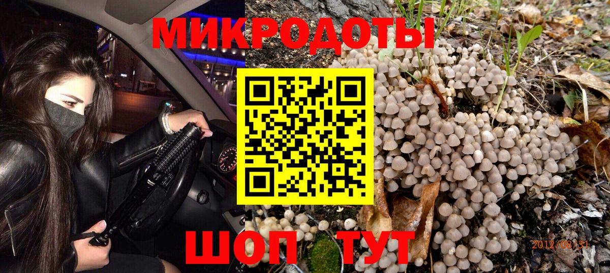 Галлюциногенные грибы Magic Shrooms Избербаш
